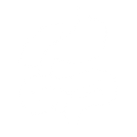 Gut and Digestion