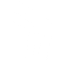Joint and Mobility