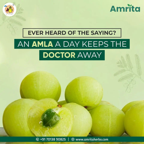 Amrita Amla Churna